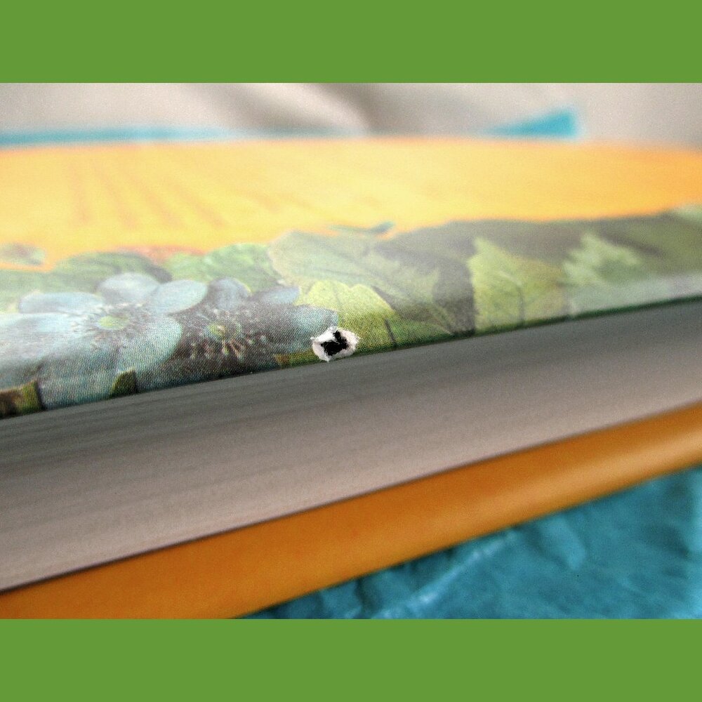 Book - Late Migrations: A Natural History of Love & Loss, by Margaret Renkl - Picture 2 of 13